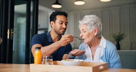 Understanding the Role of a Live-In Caregiver: Enhancing Quality of Life and Supportive Care