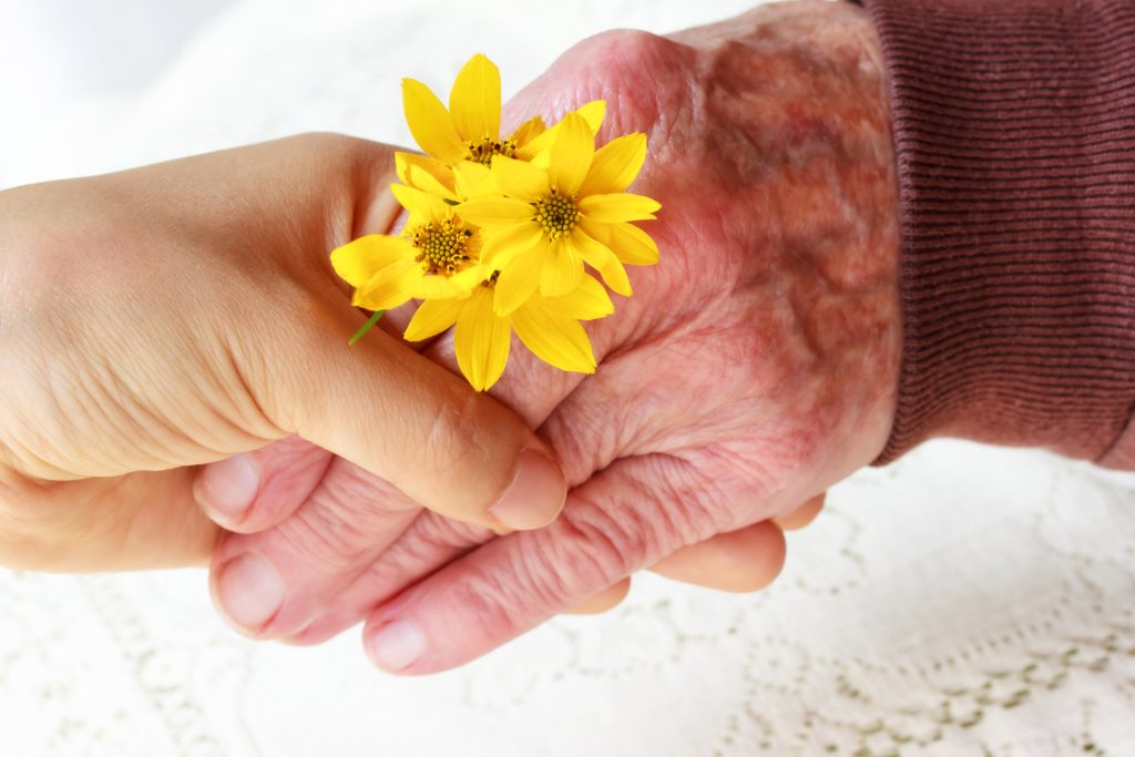 What is Palliative Care?